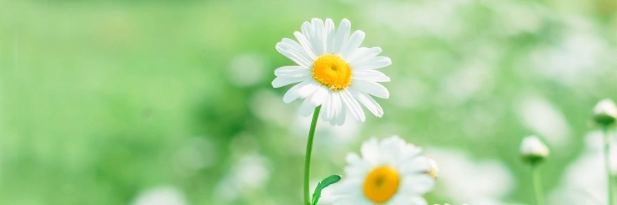 Welcome to https://www.ipvb.cn