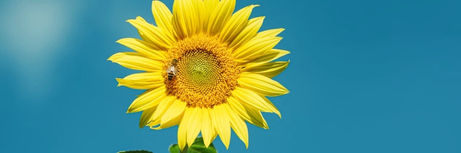 Welcome to https://www.ipvb.cn